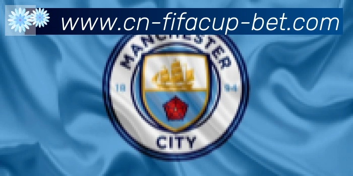 FIFA世界杯买球入口合作伙伴